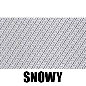 snowy