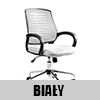 Award - biały